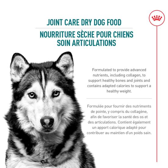 Formule soins des articulations pour chien adulte de grande race Image NaN