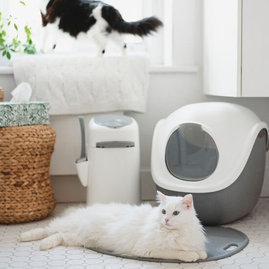Dôme pour bac à litière pour chats Image NaN