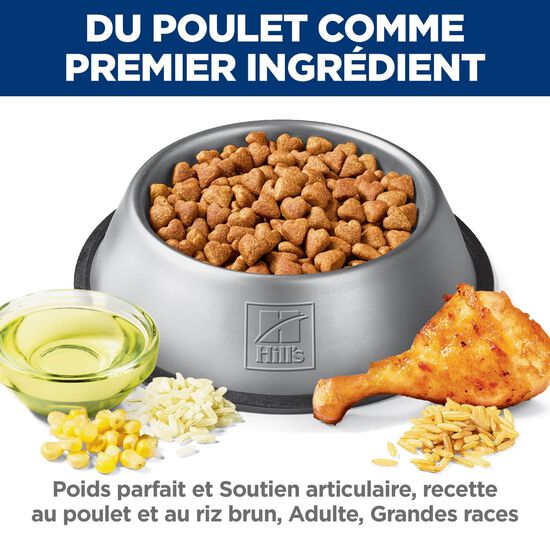 Nourriture sèche « Perfect Weight & Joint Support » au poulet pour chiens adultes de grandes races, 11,34 kg Image NaN