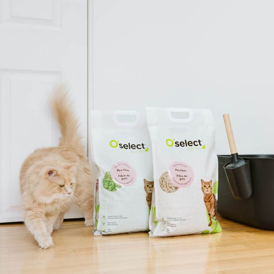 Green Tea Scented Pea Fiber Natural Clumping Litter, 4.5 kg Image NaN