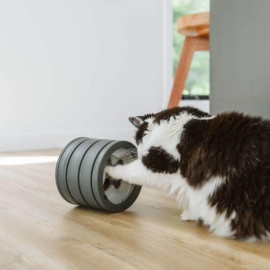 Intellikatt 2.0 Image NaN