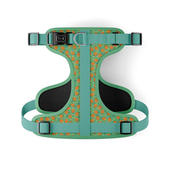 Ollie Orange Adjustable Dog Harness Image NaN