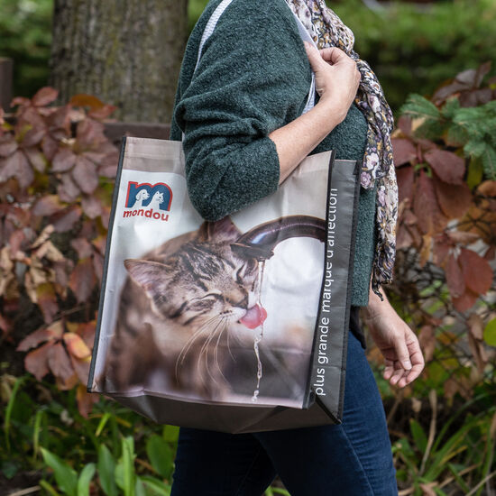 Large reusable shopping bag, cat Image NaN