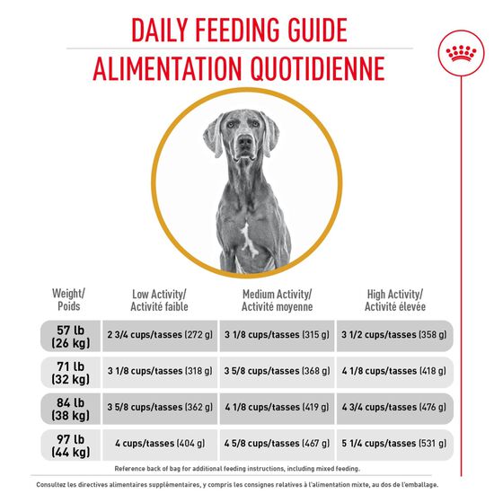 Formule soin peau sensible pour chien de grande race Image NaN