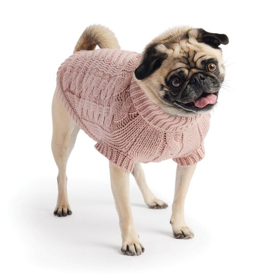 Pull Chalet pour chiens Image NaN