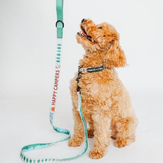 Peanuts&trade; Beagle Scouts Walkie Pack for Dogs Image NaN