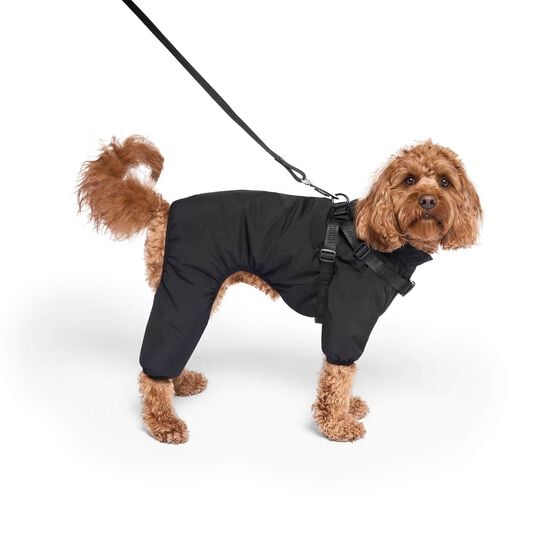 Harness Snowsuit for Dogs Image NaN