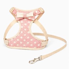 Harness and Leash Set for Small Dogs or Cats