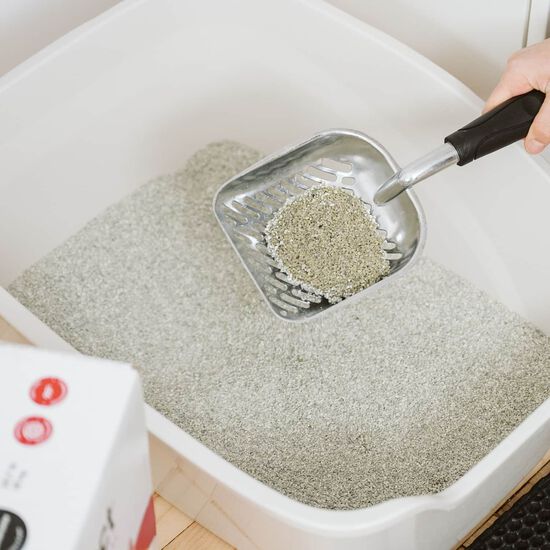 Clumping Clay Litter, 18 kg Image NaN