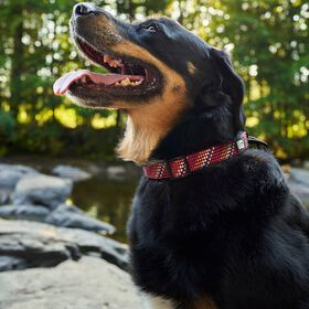 Paracord Collar for Dogs, Burgundy