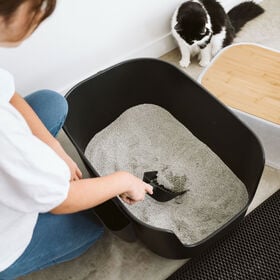 Large Luxury Litter Box