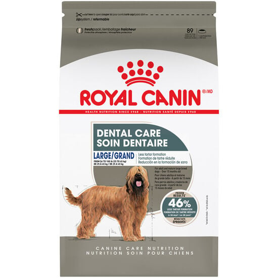 Canine Care Nutrition™ Large Dental Care Dry Dog Food Image NaN