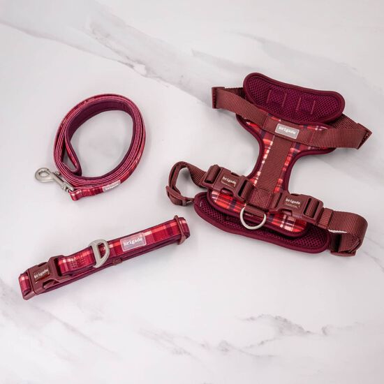 Laisse neoprene pour chiens, Carreaux bourgognes Image 3.0