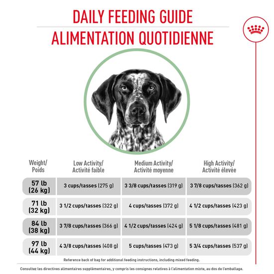 Canine Care Nutrition™ Large Digestive Care Dry Dog Food Image NaN