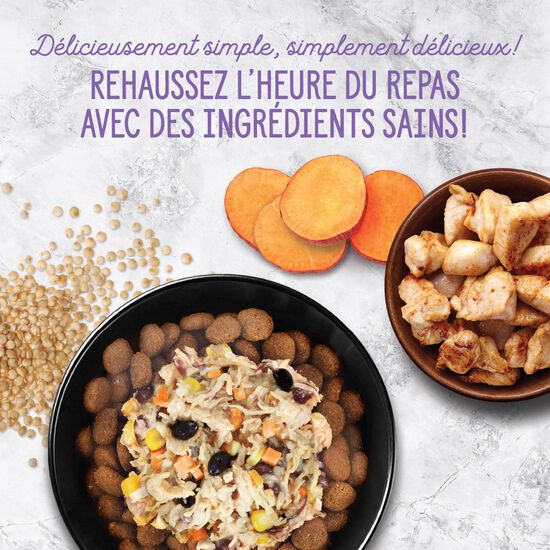 Garniture Style maison bol de poulet et quinoa pour chiens, 152 g Image NaN