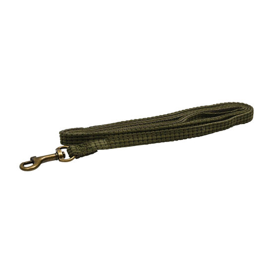 Corduroy Leash for Cats, Olive Image NaN