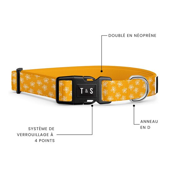 Collier r&eacute;glable pour chiens Image NaN