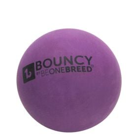 Bouncy ball, purple