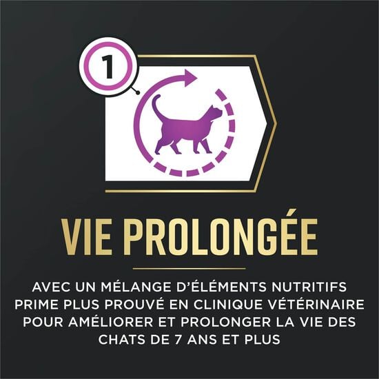 Nourriture s&egrave;che AdvantEDGE Soutien+ s&eacute;nior au poulet et riz pour chats, 2,27 kg Image NaN