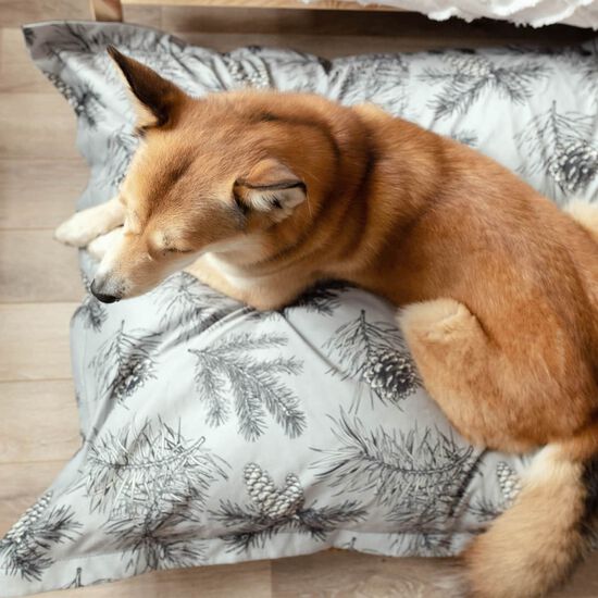 Cloud Pillow Cover, Pine Forest Image NaN