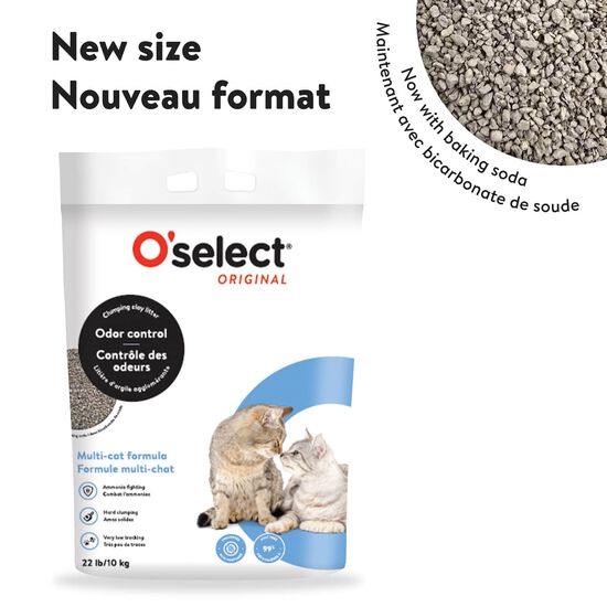 Litiere d'argile agglom&eacute;rante multi-chat, 10 kg Image NaN