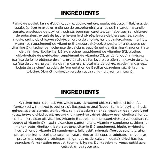 Nourriture sèche au poulet avec grains Digestion + Gut Health pour chiens Image NaN