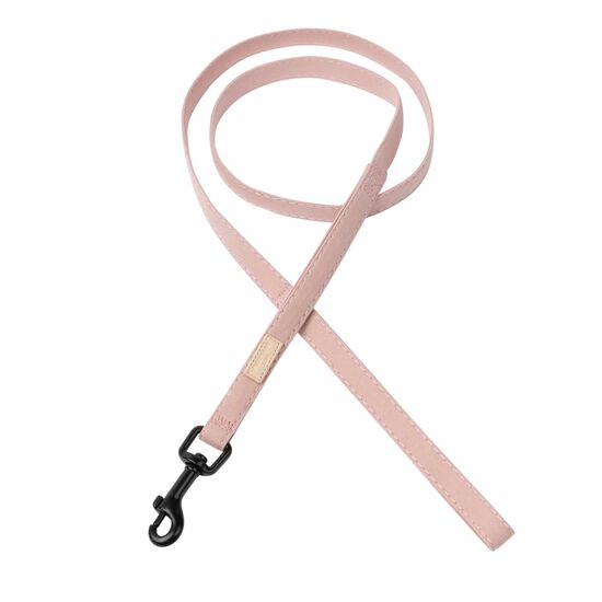 Laisse pour chiens Image NaN