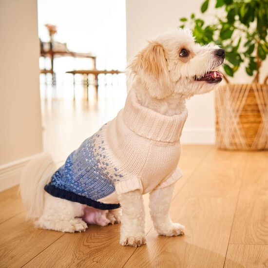 Pull col roul&eacute; sculpt&eacute; pour chiens, Bleu marin Image NaN