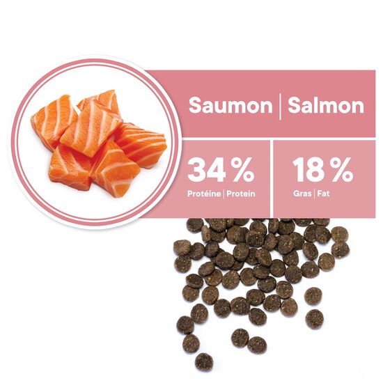 Derma Salmon Flavoured Adult Cat Dry Food Image NaN