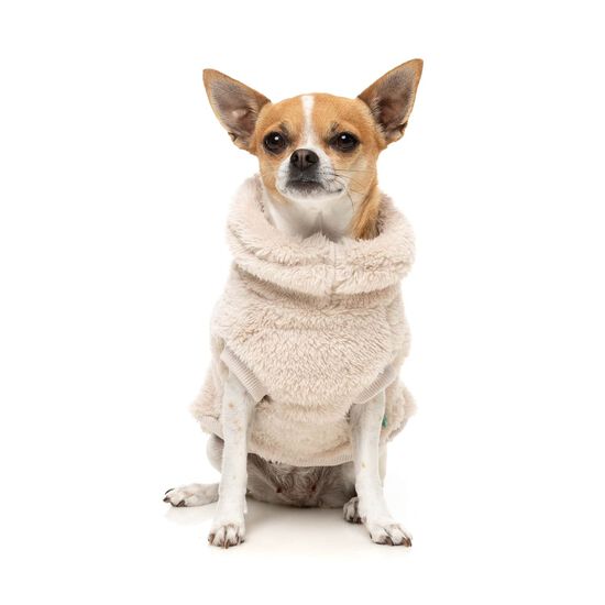 Pull col roul&eacute; Teddy pour chiens Image NaN