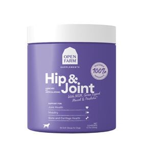Hip and Joint Supplement Chews for Dogs