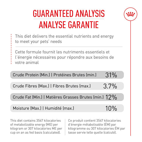 Breed Health Nutrition® Labrador Retriever Puppy Dry Food Image NaN