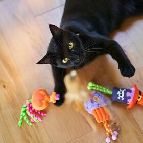 Trio de jouets Halloween pour chats
