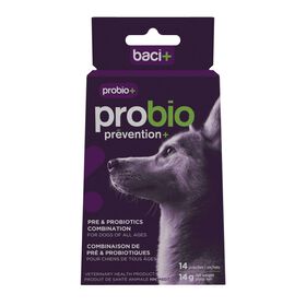 Pr&eacute; et probiotiques sant&eacute; intestinale