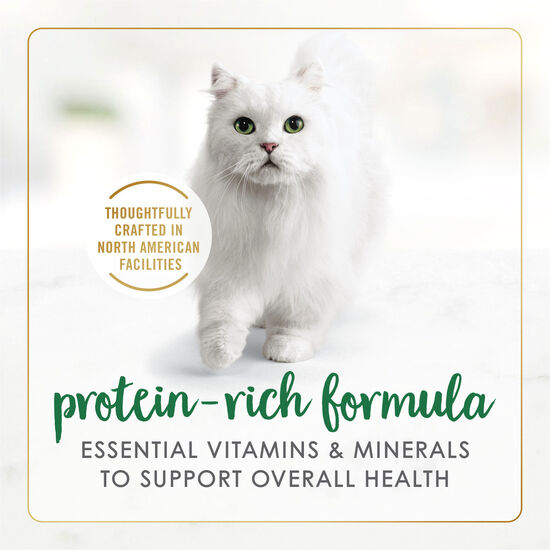 Chicken chunks wet food for adult cats Image NaN