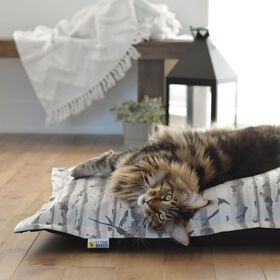 Housse pour coussin Nuage, bouleau