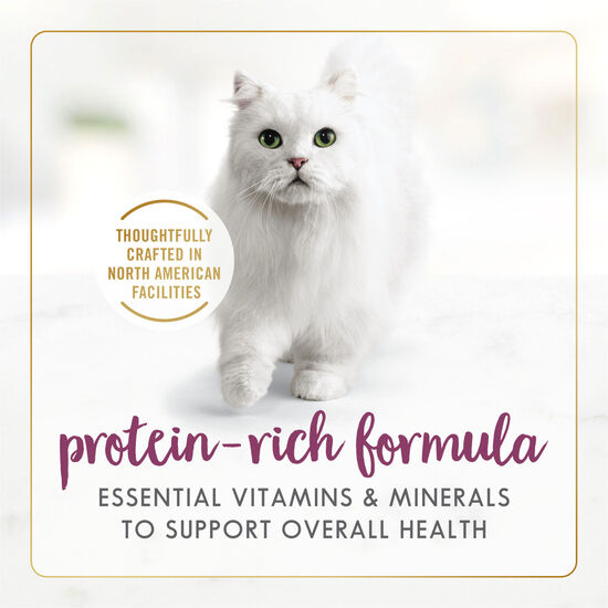 Roasted chicken wet food for adult cats Image NaN