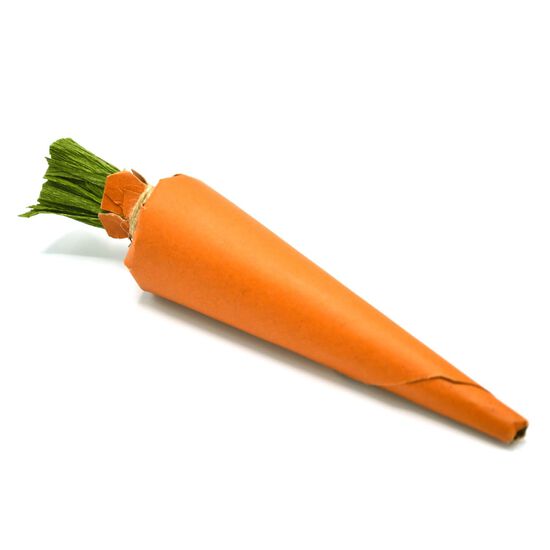 Jouet &agrave; m&acirc;cher carotte croquante pour rongeurs Image 1.0