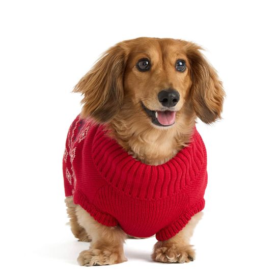 Pull &agrave; col roul&eacute; pour chiens Image NaN