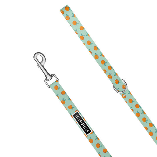 Dog Leash Image NaN