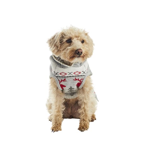 Printed Dog Hooded Sweater, Large Image NaN