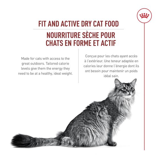 Nourriture pour chats adultes d'extérieur Image NaN