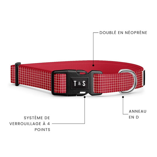 Collier réglable pour chiens Image NaN