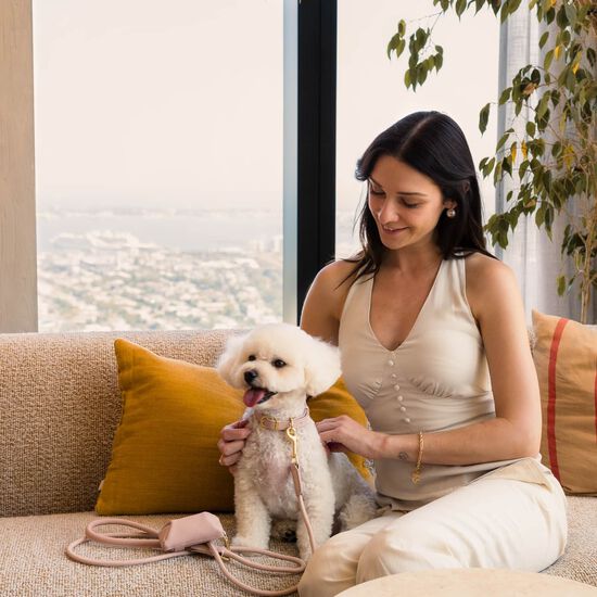 Laisse FuzzYard Life Atelier pour chiens, rose p&acirc;le Image NaN