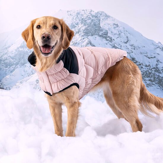 Manteau elasto-fit matelassé Diamand pour chiens Image NaN