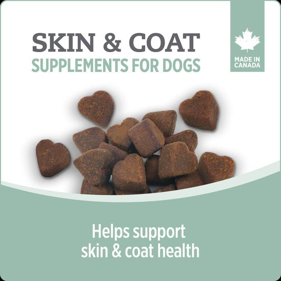 Skin and Coat Supplement for Dogs, 400 g Image NaN