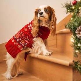 Tricot jacquard à col montant pour chiens