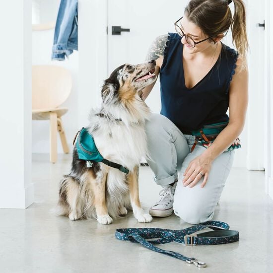 Laisse en silicone pour chiens, Floral estival Image NaN