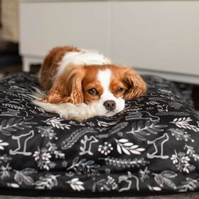 Cloud Pillow Cover, Botanical