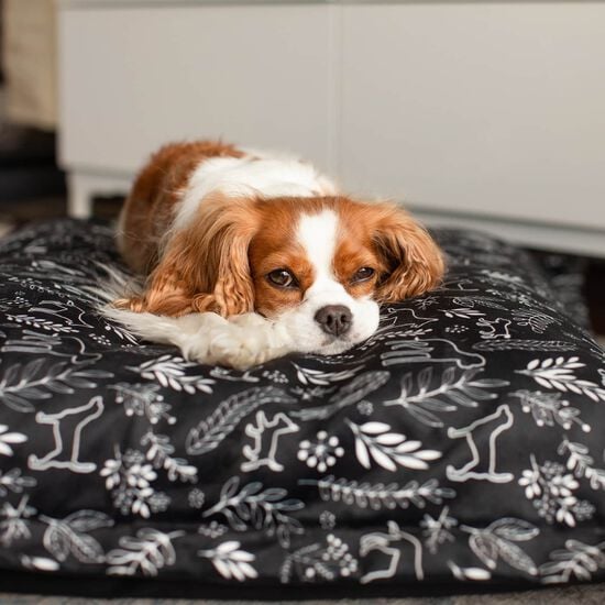 Cloud Pillow Cover, Botanical Image NaN